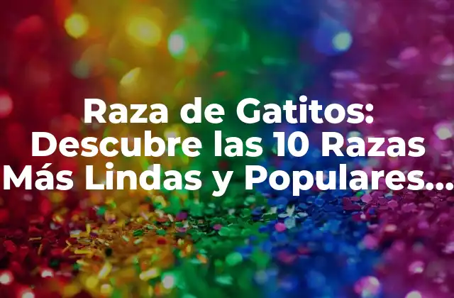 Raza de Gatitos: Descubre las 10 Razas Más Lindas y Populares Del Mundo