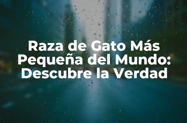 Raza de Gato Más Pequeña Del Mundo: Descubre la Verdad