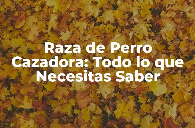Raza de Perro Cazadora: Todo Lo que Necesitas Saber