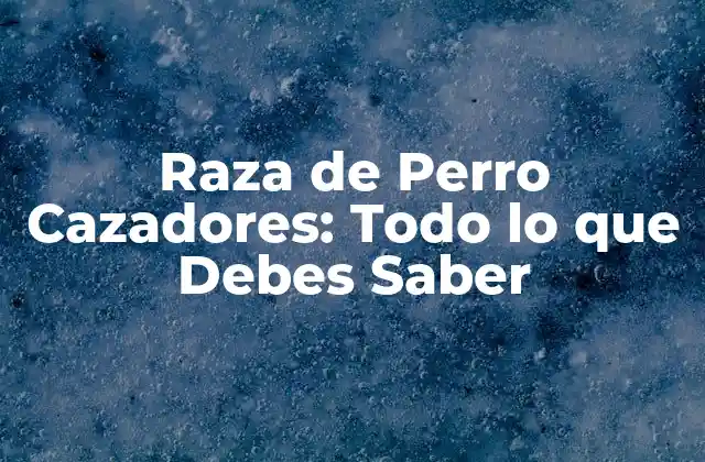Raza de Perro Cazadores: Todo Lo que Debes Saber 2 Orígenes de la Raza de Perro Cazadores