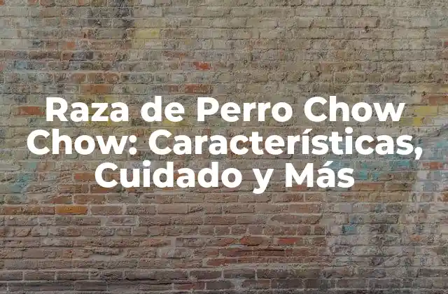 Raza de Perro Chow Chow: Características, Cuidado y Más