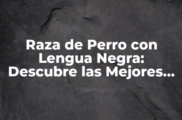 ¿Por qué algunos perros tienen una lengua negra?