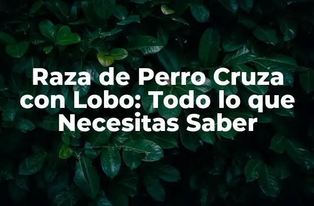 Orígenes y Historia de la Raza de Perro Cruza con Lobo