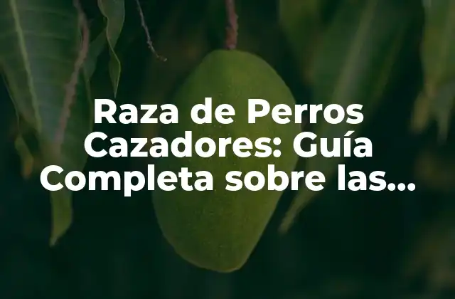Raza de Perros Cazadores: Guía Completa sobre las Mejores Razas para la Caza