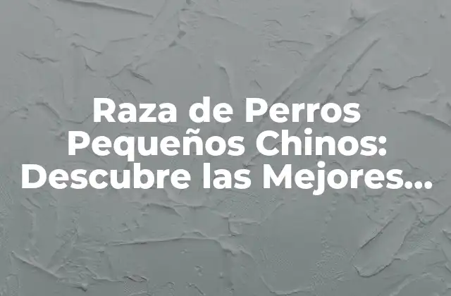 Raza de Perros Pequeños Chinos: Descubre las Mejores Opciones