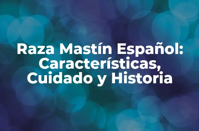 Raza Mastín Español: Características, Cuidado y Historia