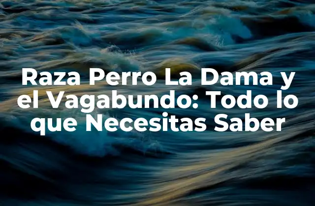 Raza Perro la Dama y el Vagabundo: Todo Lo que Necesitas Saber