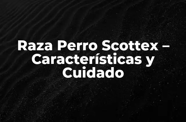 Raza Perro Scottex – Características y Cuidado