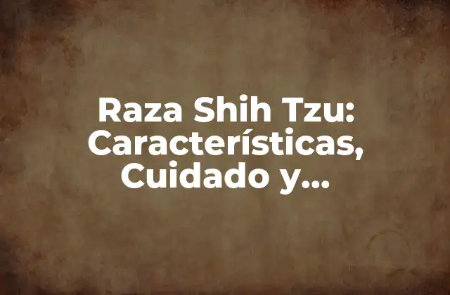 Raza Shih Tzu: Características, Cuidado y Adiestramiento de Este Perro de Compañía