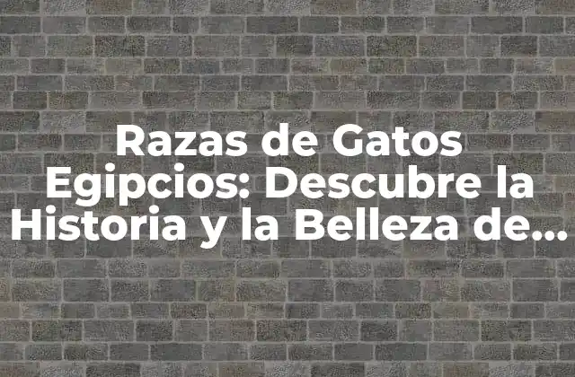 Razas de Gatos Egipcios: Descubre la Historia y la Belleza de Estos Felinos
