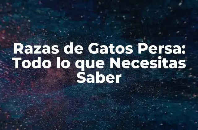 Razas de Gatos Persa: Todo Lo que Necesitas Saber