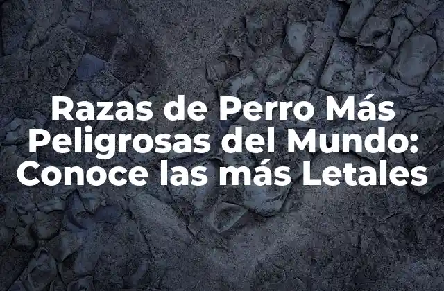 Razas de Perro Más Peligrosas Del Mundo: Conoce las Más Letales
