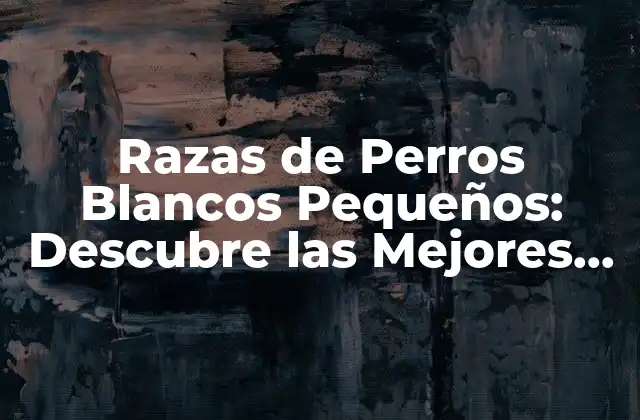 Razas de Perros Blancos Pequeños: Descubre las Mejores Opciones para Tu Hogar