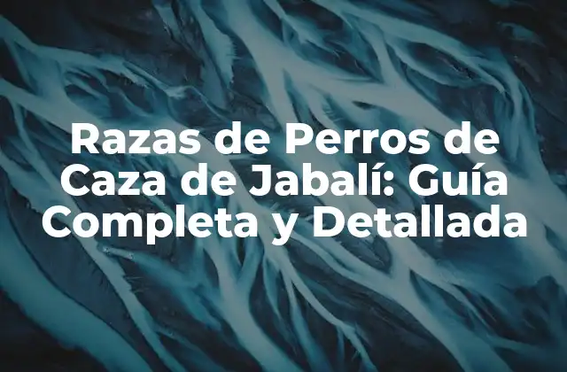 Razas de Perros de Caza de Jabalí: Guía Completa y Detallada