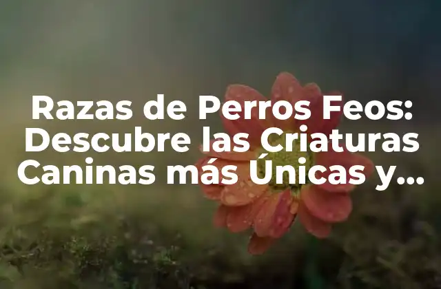 Razas de Perros Feos: Descubre las Criaturas Caninas Más Únicas y Amorosas