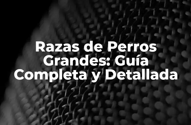 Razas de Perros Grandes: Guía Completa y Detallada 2 ¿Cuáles son las Características de los Perros Grandes?
