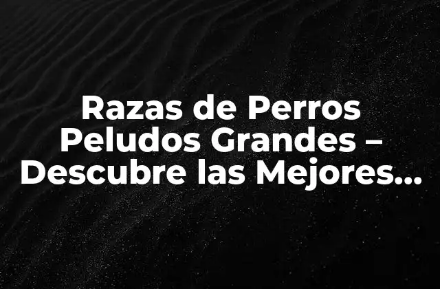 Razas de Perros Peludos Grandes – Descubre las Mejores Opciones