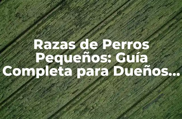 Razas de Perros Pequeños: Guía Completa para Dueños y Amantes de los Caninos 2 ¿Qué es un Perro Pequeño?