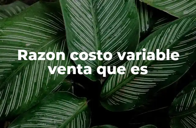Cómo el costo variable influye en la estrategia de ventas