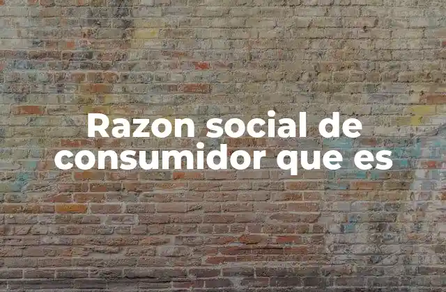 Razon Social de Consumidor que es