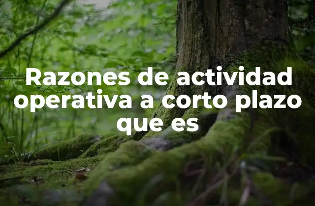 Razones de Actividad Operativa a Corto Plazo que es