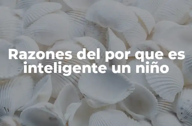 Razones Del por que es Inteligente un Niño
