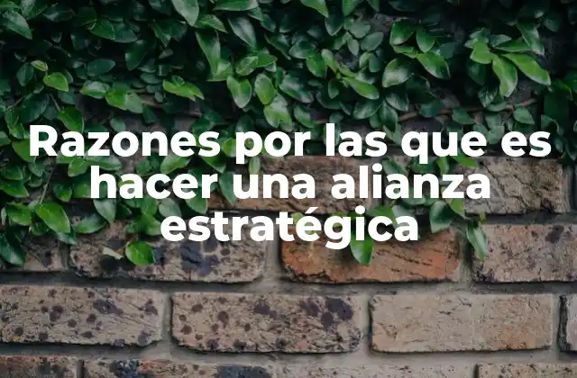 Razones por las que es Hacer una Alianza Estratégica