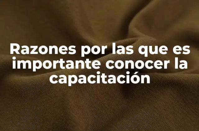 Razones por las que es Importante Conocer la Capacitación