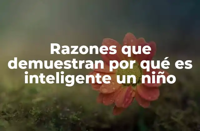 Razones que Demuestran por Qué es Inteligente un Niño