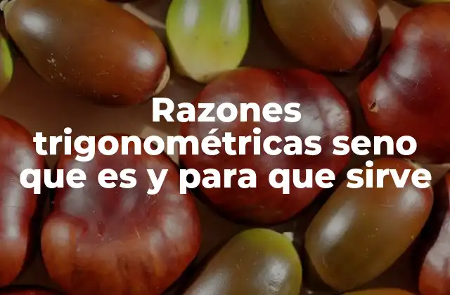 Razones Trigonométricas Seno que es y para que Sirve