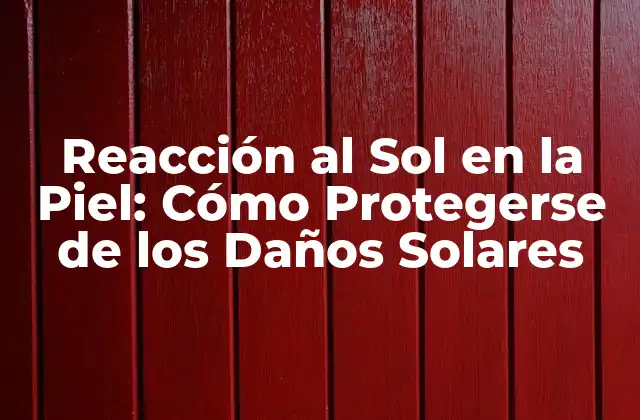 Reacción Al Sol en la Piel: Cómo Protegerse de los Daños Solares 2 ¿Qué es la Reacción al Sol en la Piel?