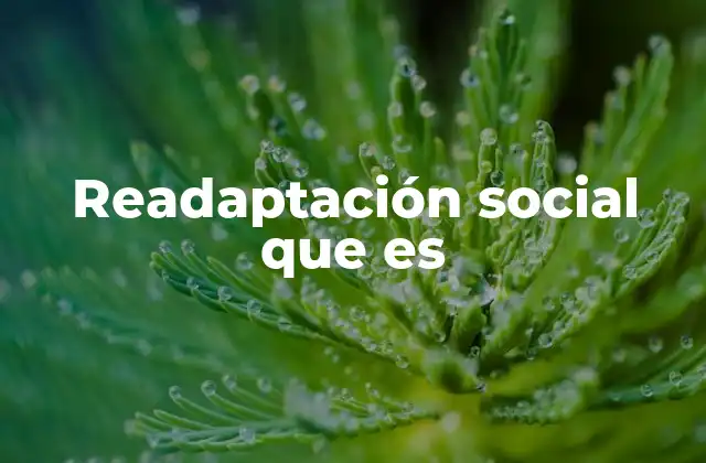 El rol de las instituciones en la readaptación social