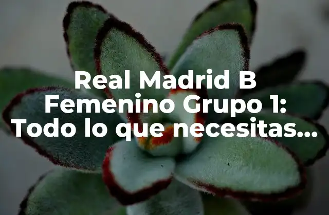 Real Madrid B Femenino Grupo 1: Todo Lo que Necesitas Saber