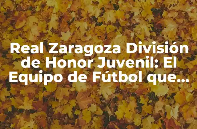 Real Zaragoza División de Honor Juvenil: el Equipo de Fútbol que Forma a los Mejores Talentos