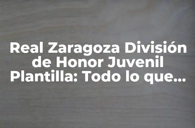 Real Zaragoza División de Honor Juvenil Plantilla: Todo Lo que Necesitas Saber