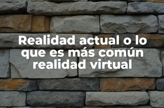 Realidad Actual o Lo que es Más Común Realidad Virtual