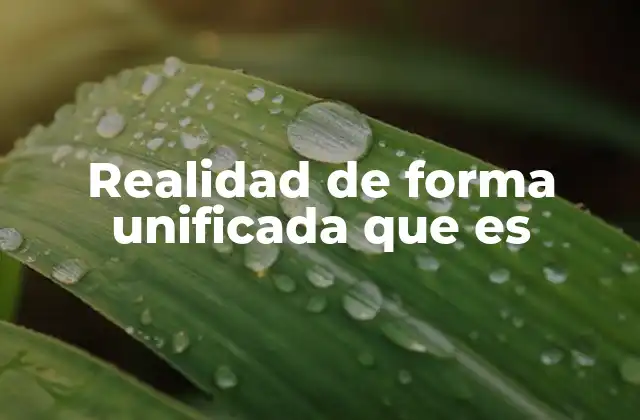 Realidad de Forma Unificada que es