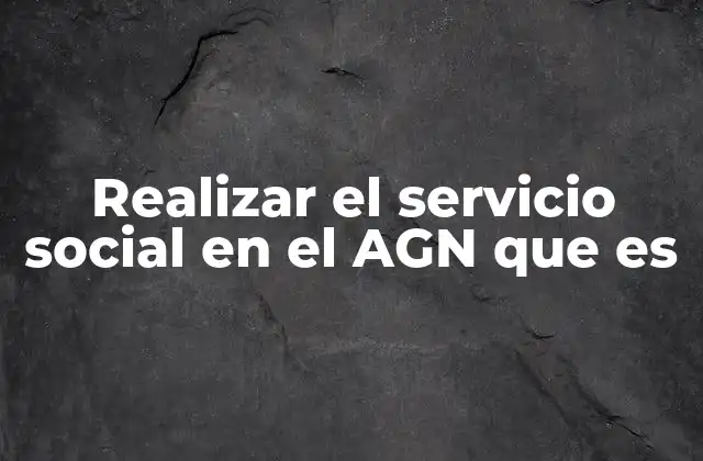 Realizar el Servicio Social en el Agn que es