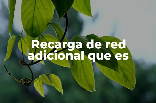 Recarga de Red Adicional que es