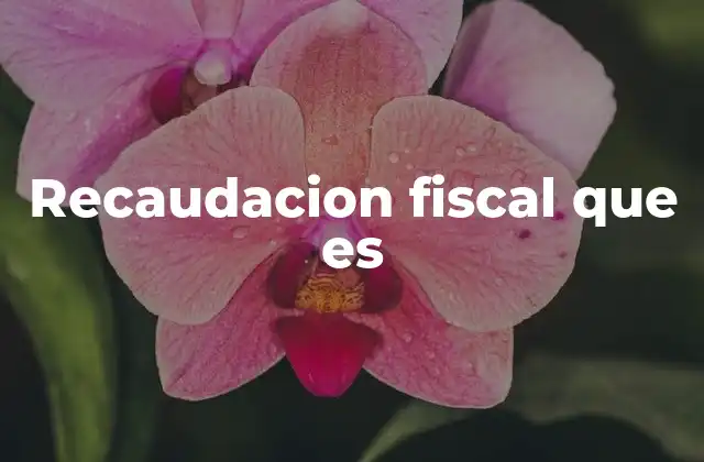 Recaudacion Fiscal que es 2 El papel de la recaudación en la sostenibilidad económica