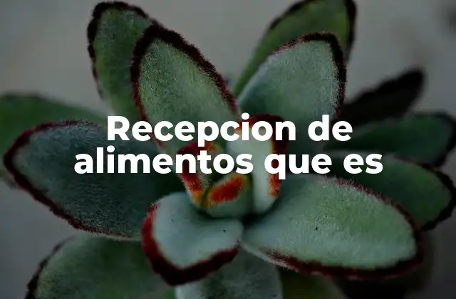 Recepcion de Alimentos que es