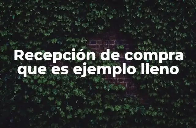 Recepción de Compra que es Ejemplo Lleno