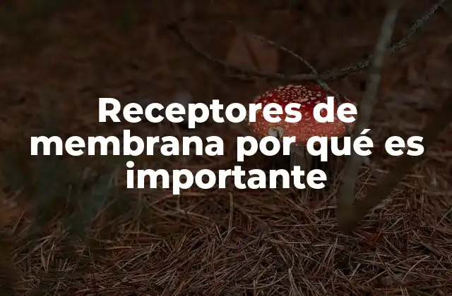 Receptores de Membrana por Qué es Importante
