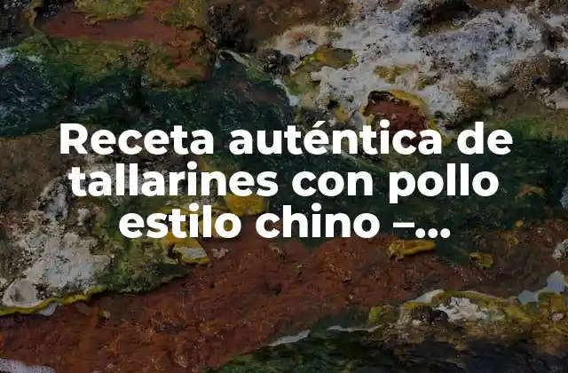 Receta Auténtica de Tallarines con Pollo Estilo Chino – Preparación y Tips