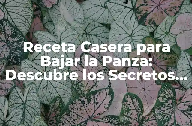 Receta Casera para Bajar la Panza: Descubre los Secretos Naturales