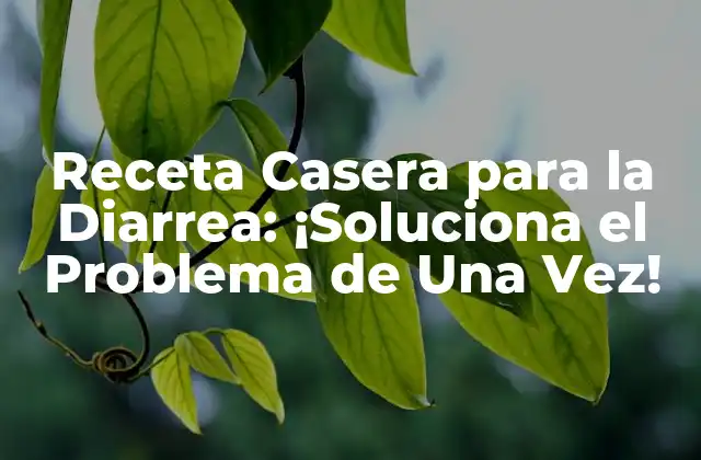 Receta Casera para la Diarrea: ¡soluciona el Problema de una Vez!