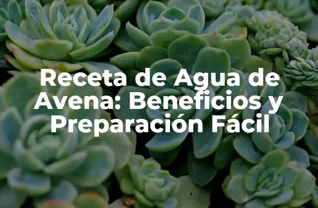 Receta de Agua de Avena: Beneficios y Preparación Fácil