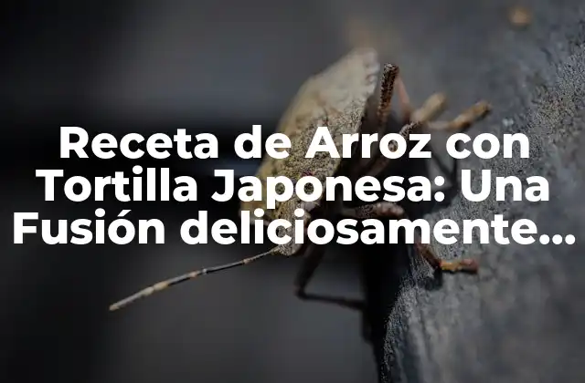 Receta de Arroz con Tortilla Japonesa: una Fusión Deliciosamente Única
