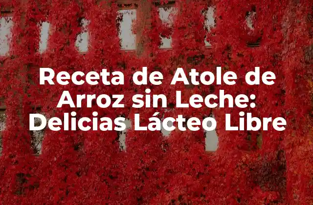 Receta de Atole de Arroz sin Leche: Delicias Lácteo Libre