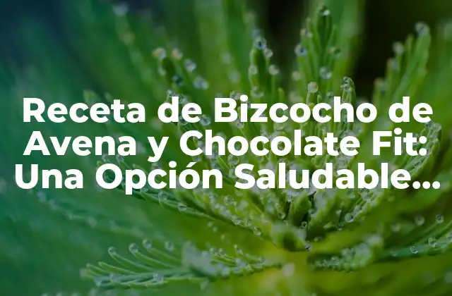 Receta de Bizcocho de Avena y Chocolate Fit: una Opción Saludable y Deliciosa